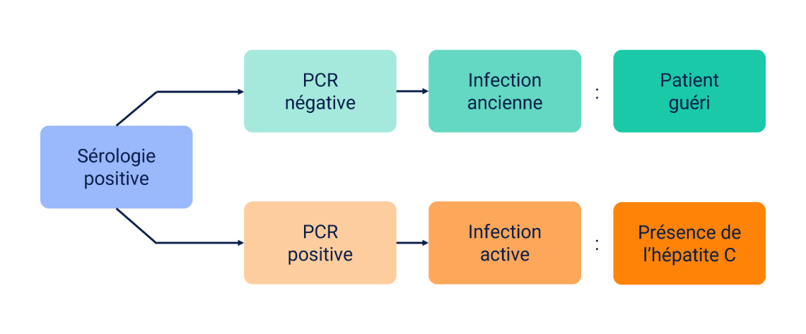 PCR Diagram