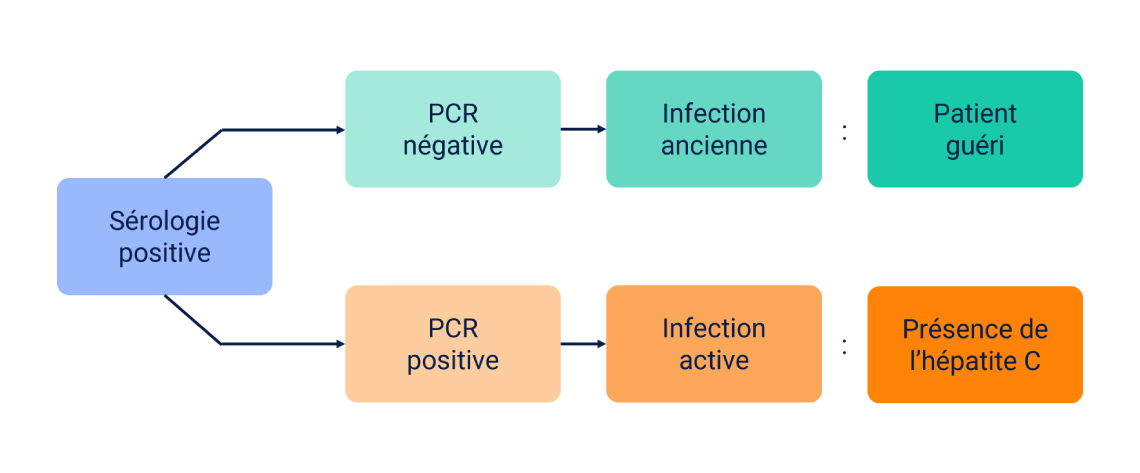 PCR Diagram